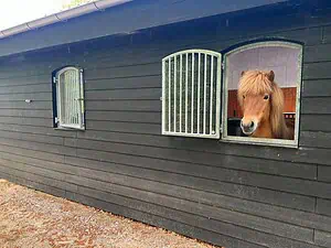 Buet staldvinude med beskyttelsesgitter